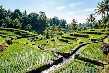 Лечу на сказочный Бали по дешевке в ноябре: трачу 45 000 рублей — "кайфую" месяц на райском острове