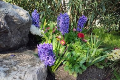 Антициклон порадует Краснодарский край обилием солнца