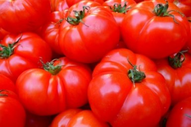 Попробовала китайский метод выращивания томатов - и увеличила урожай на 50% ИА KrasnodarMedia