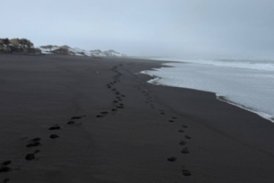 Тематическое фото https://t.me/sakh_soul