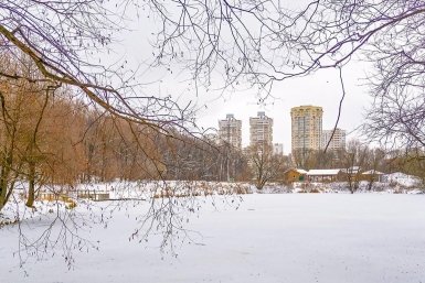 Редкую ящерицу обнаружили на территории "Лосиного острова"