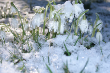 Тематическое фото Сайт pxhere.com