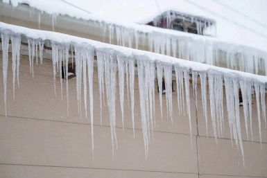 Новость дня