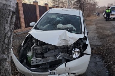 Разбил стекло головой: пьяный водитель въехал в березу в Уссурийске