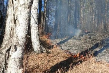 Пожар тг-канал (18+) Минлеса Забайкалья