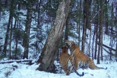 6017410.jpeg?ef3d5c3e5e6dad8413da0da7f7bd71df