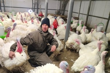 Более 10 тонн мяса индейки произвел фермер из Анивы за год пресс-служба минсельхоза Сахалинской области