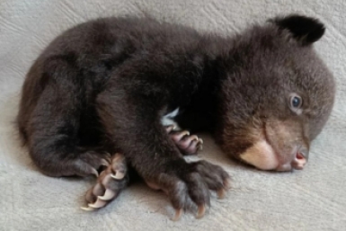 6017569.jpg?0fc5e6f67532578af38ba4fc091197cd