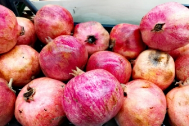 гранат Марина  Померанцева , ИА EAOMedia