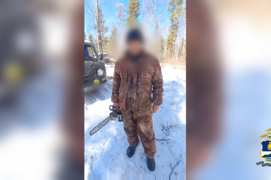 У "черного лесоруба" в Бурятии изъяли автомобиль, бензопилу и завели дело