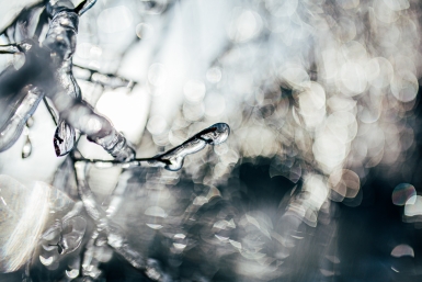 Тематическое фото Мария Смитюк, ИА PrimaMedia