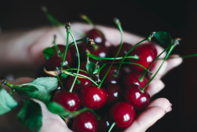 Не ягода, а сочный деликатес — этот сорт черешни слаще меда: ветки гнутся от тяжести крупных ягод