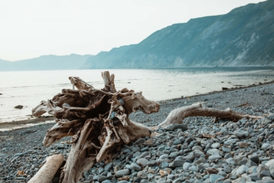 Нарушителей в сфере экологии смогут привлекать к ответственности по видеофиксации Источник