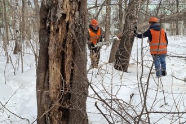 6018279.jpg?c8aec51a9f737e214a1b844c4481dee5