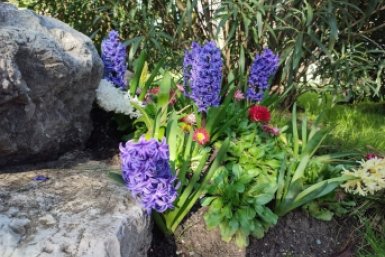 Теплая облачная погода придет на Кубань в начале недели