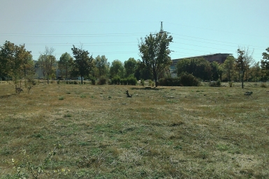 Бастрыкин ждёт доклад по делу о нарушении прав многодетной семьи в Пятигорске