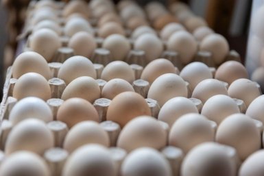Яйца подорожали на 7% в начале марта из-за подготовки к Пасхе на Ставрополье