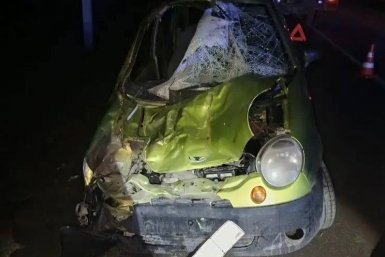 Лошадь пробила лобовое стекло машины в ДТП на Ставрополье, есть пострадавшая