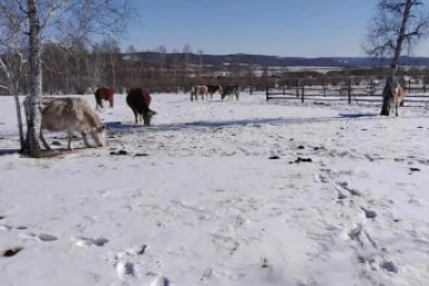 6018938.jpg?f87fe27c35c170e6dd90b024a937fac3