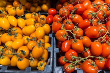 Мой огородный пантеон: 4 божественных сорта помидоров, чьи семена достойны трона - записывайте и не теряйте
