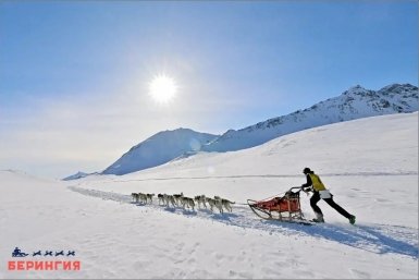 Новость дня