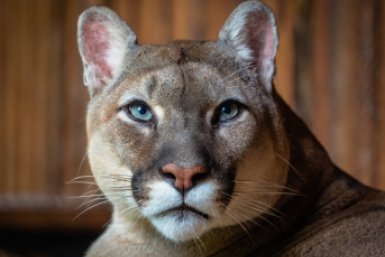 . парк флоры и фауны &quotРоев ручей&quot