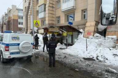 Подопечную погибшей от глыбы льда сегодня поместят в центр помощи в столице Камчатки