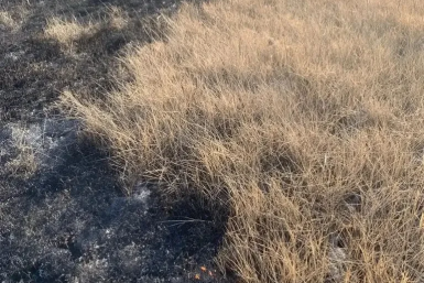 В Бурятии зафиксировали первый пал травы в сезоне МЧС по Бурятии