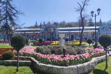 Не многолетник, а мечта: аромат как в Версальских садах – идеальный почвопокровник