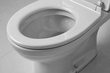 Отмывает стульчак до блеска за 5 минут - этот способ разлетелся по интернету у домохозяек