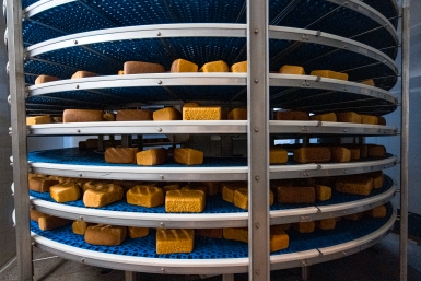 Тематическое фото Илья Аверьянов, ИА PrimaMedia