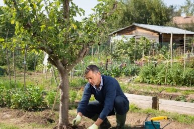 90% дачников убивают деревья поливом: 1 подкормка реанимирует за март
