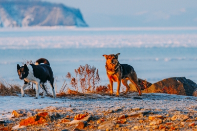 От −18°С до +12°С: резкие температурные качели прогнозируют в Приморье 18 марта