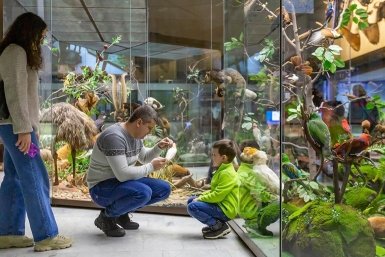 Названы самые популярные у детей московские музеи