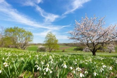 Каждый школьник СССР знал эти 7 весенних пословиц, а вы? - ТЕСТ