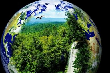 Тематическое фото Прокуратура Магаданской области