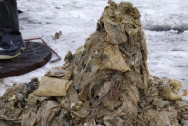 &quotУлов&quot водоканала Пресс-служба Камчатского водоканала