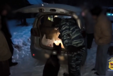 Задержание кадр из видео