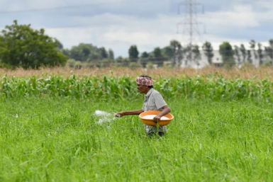 Атаки на Иран "не получились", Индия утонула в рисе, а Япония "присоседилась" к Приморью