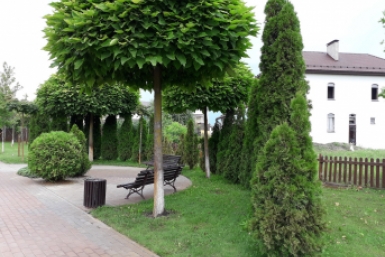 Жители Хабаровска могут сделать свой город комфортнее