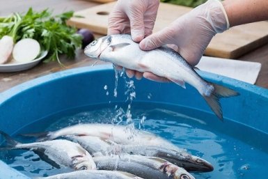 Ни хвоста ни чешуи - чищу рыбу так и не надо потом отмывать всю кухню