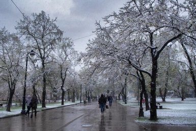 Мокрый снег и метели обещают синоптики в Иркутской области 19 марта