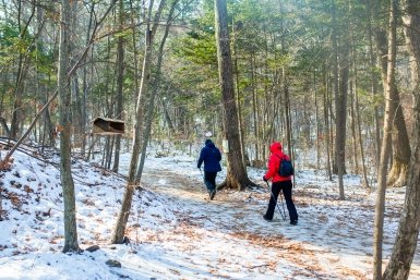 Дресс-код для весенних прогулок: опытный грибник назвал, как одеваться в лес и кого опасаться