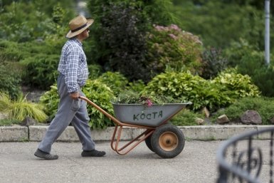 Жители подмосковного СНТ заявили о рейдерском захвате поселка