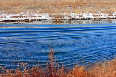 вода Яна Иванова, ИА ChitaMedia