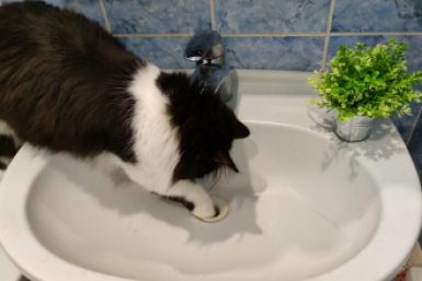 Вода в нескольких районах Крыма не соответствует нормам- Роспотребнадзор