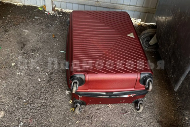 В Подмосковье нашли расчлененное тело женщины в чемоданах