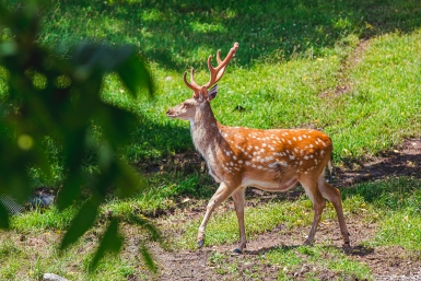 Госдума приняла скандальный закон об изъятии земель заповедников