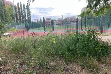 Новость дня