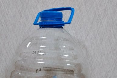 Агроном Давыдова раскрыла копеечный способ для рассады томатов и перцев: работает лучше пикировки